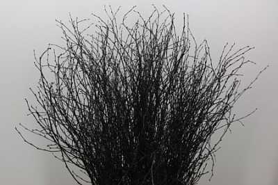 Berk Black Glitter