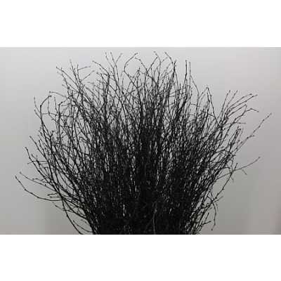 Berk Black Glitter