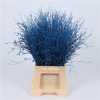 Berk Blue
