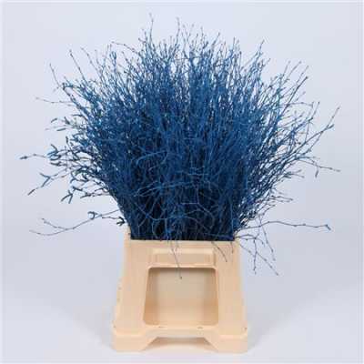 Berk Blue Glitter