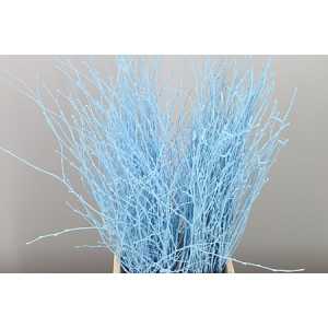 Berk Blue Light