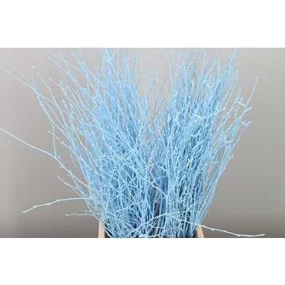 Berk Blue Light