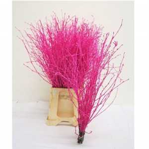 Berk Cerise Glitter