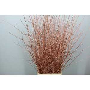 Berk Copper