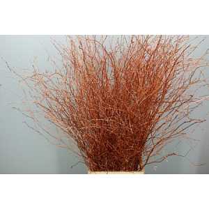 Berk Copper Glitter