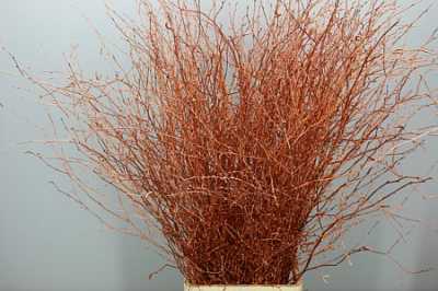 Berk Copper Glitter