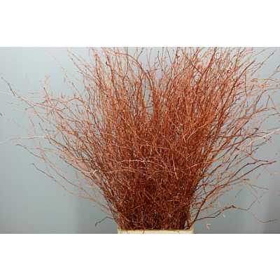Berk Copper Glitter