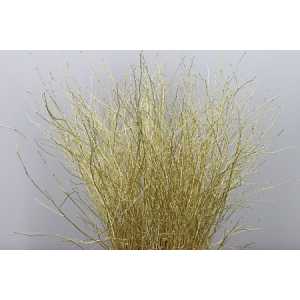 Berk Gold