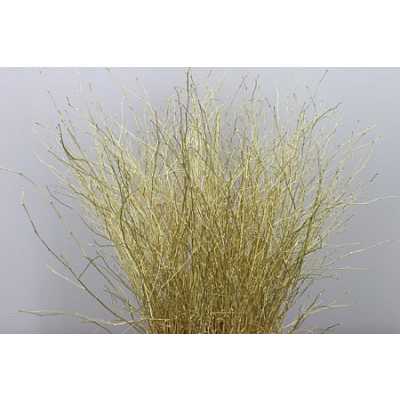 Berk Gold