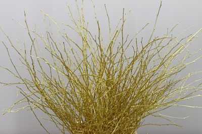 Berk Gold Glitter