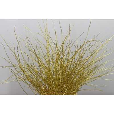Berk Gold Glitter