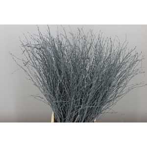 Berk Grey