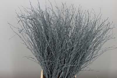 Berk Grey