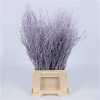 Berk Milka Glitter