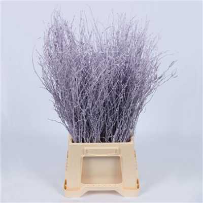 Berk Milka Glitter