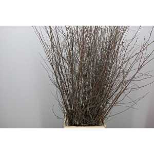 Berk Naturel Glitter