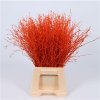 Berk Orange Glitter