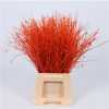 Berk Orange Glitter