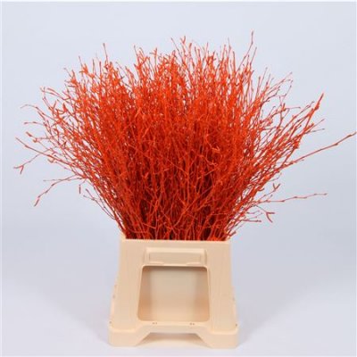 Berk Orange Glitter