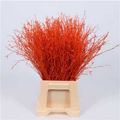 Berk Orange Glitter
