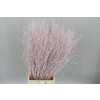 Berk Pale Pink