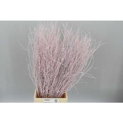 Berk Pale Pink