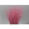 Berk Pink
