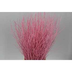 Berk Pink