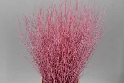 Berk Pink