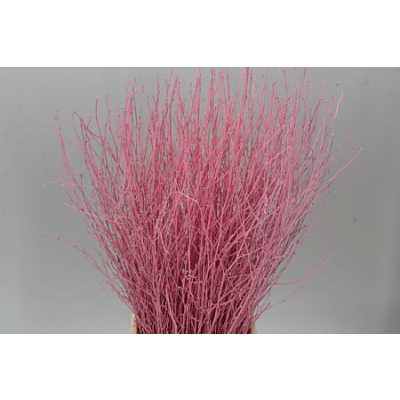 Berk Pink