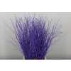 Berk Purple