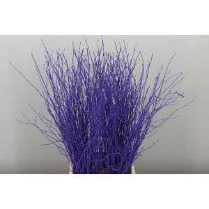 Berk Purple