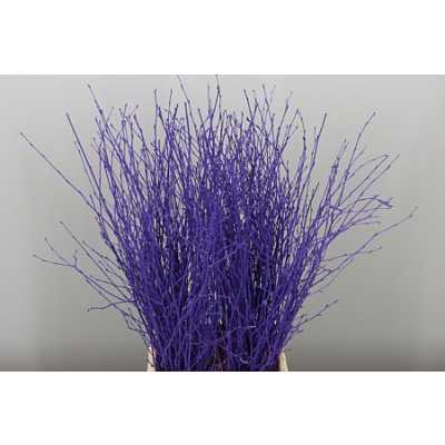 Berk Purple
