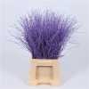 Berk Purple Glitter