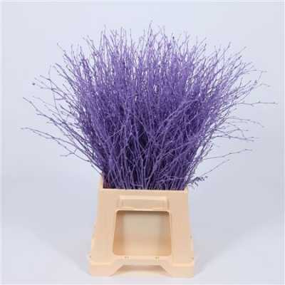 Berk Purple Glitter