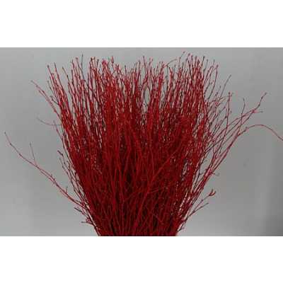 Berk Red