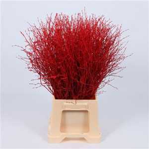 Berk Red Glitter
