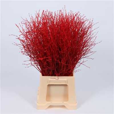 Berk Red Glitter