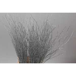 Berk Silver