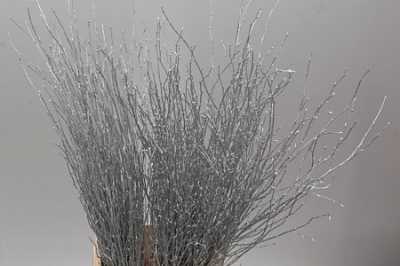 Berk Silver