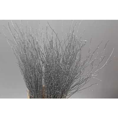 Berk Silver