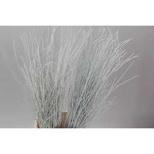Berk White