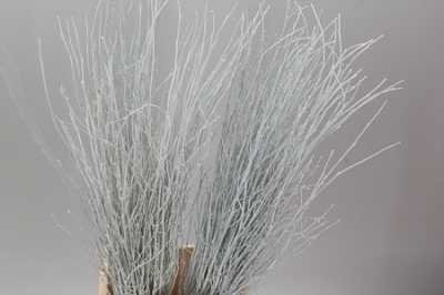 Berk White