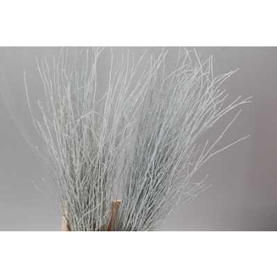 Berk White