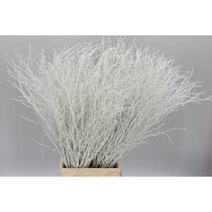 Berk White Glitter