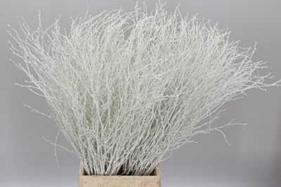 Berk White Glitter