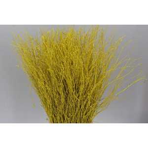 Berk Yellow