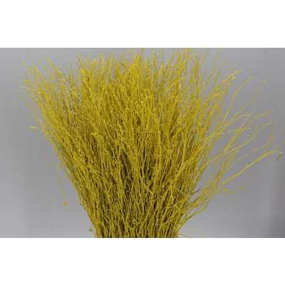 Berk Yellow