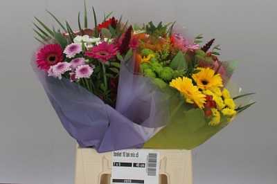 Boeket 10 Tak Mix X5