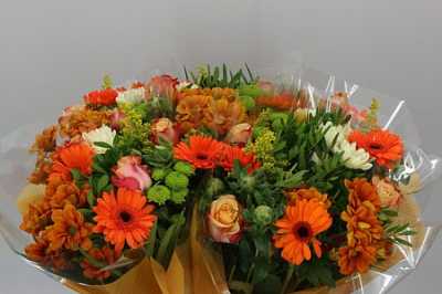 Boeket 12 Tak Orange X5
